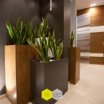 interior design studio giannattasio-8